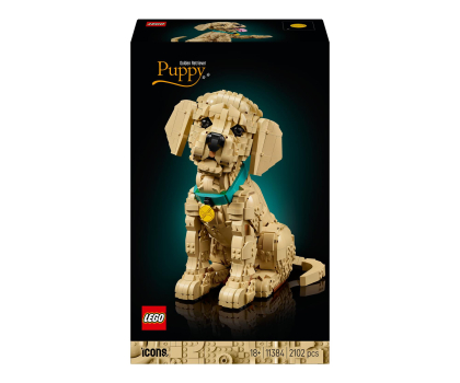 Klocki LEGO® LEGO ICONS 11384 Szczeniak golden retriever